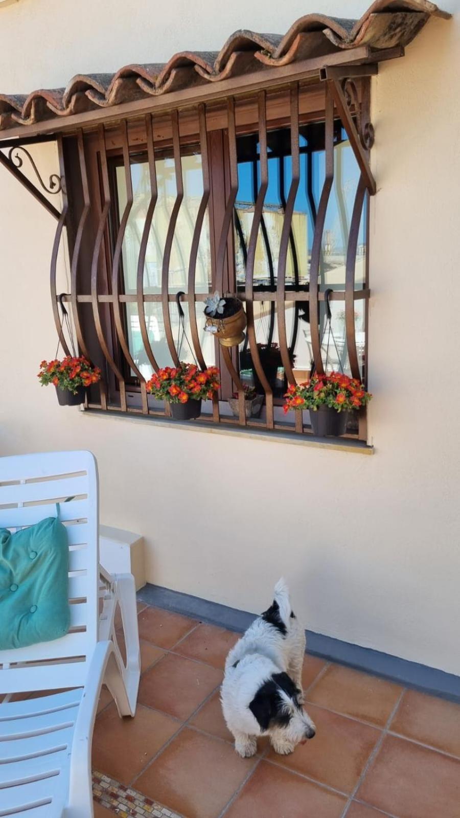 Sicily Coast Bed and Breakfast Catania Exteriör bild
